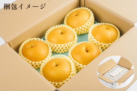 【2026年先行予約】【厳選】新潟県産 和梨 あきづき 5kg（10〜18玉）《9月上旬以降発送》 和梨 なし ナシ 果物 フルーツ 加茂市 いたみ果樹園
