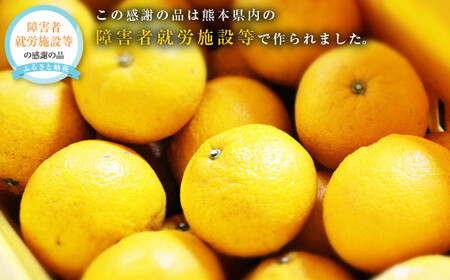 甘夏みかん 約10kg（1個あたり約300-350g、約25個～30個入り） 甘夏 柑橘 みかん 蜜柑【2027年2月上旬発送開始】