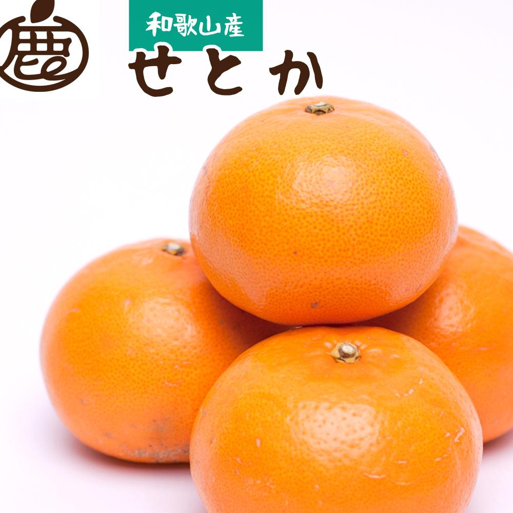 ［先行予約］厳選 せとか1kg+250g（傷み補償分）［柑橘・春みかんの王様］［光センサー選果・食べ頃出荷］［IKE60］