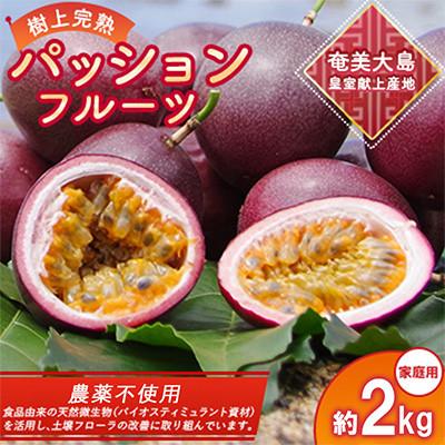 ふるさと納税 瀬戸内町 期間限定【農薬不使用】奄美大島 完熟パッションフルーツ 約2kg(農家直送)家庭用