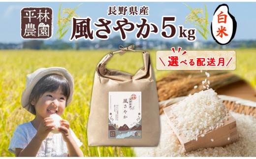 
                  【選べる配送月】令和8年産 風さやか 白米 5kg×1袋 長野県産 米 精米 お米 ごはん ライス 甘み 農家直送 産直 信州 人気 ギフト お取り寄せ 平林農園 送料無料 長野県 大町市
                