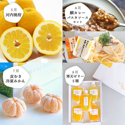 【発送月固定定期便】食べ切り少量サイズ 愛媛の人気品種!柑橘定期便(秀品)全12回【H25−156】【配送不可地域：離島】【4012890】