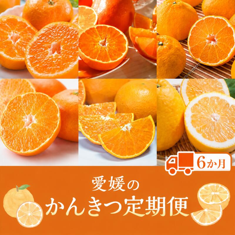 【ふるさと納税】 【定期便6回】えひめかんきつ定期便 みかん 紅まどんな 伊予柑 デコポン せとか 河内晩柑 | みかん 日の丸ゴールド まどんな 紅まどんな 愛果28号 紅マドンナ セトカ かんきつ 愛媛 国産 フルーツ みかん オレンジ 柑橘 果物 定期便 愛媛県 松山市