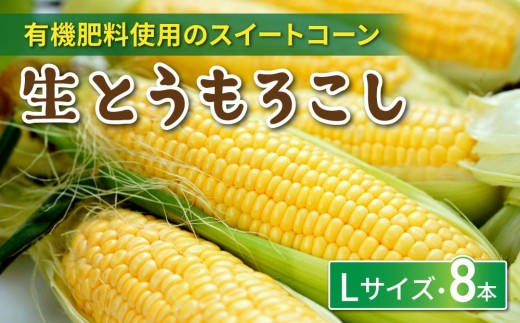
                  生とうもろこし Lサイズ 8本  有機肥料使用のスイートコーン！ 長野県東御市産 ※7月上旬から順次発送予定※発送日指定不可
                
