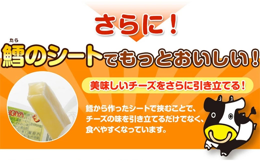 チーズおやつカマンベール48本入り×2箱セット【えひめの町（超）推し！（松前町）】