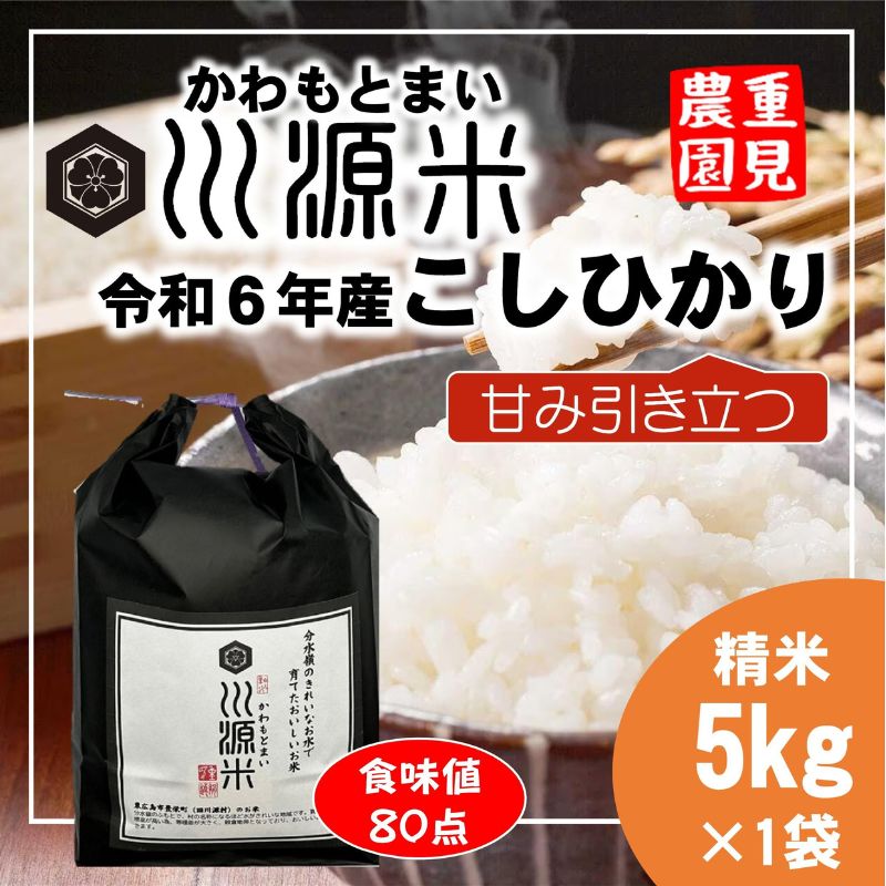 【ふるさと納税】川源米　令和6年産こしひかり　出荷直前精米　5kg