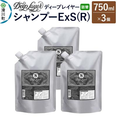 ふるさと納税 滑川町 ディープレイヤー シャンプー ExS 詰替 750mL×3個|19_sss-260301