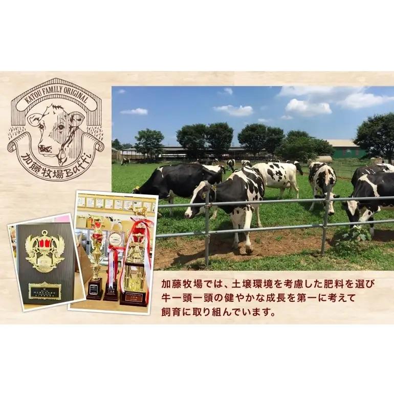 【加藤牧場】ノンホモ低温殺菌牛乳使用 ジェラート 18個入り アイス 氷 夏 暑い 猛暑 フレーバー 濃厚 さっぱり 人気 ご当地 スイーツ お菓子 食後 デザート 氷菓 牛乳 さっぱり コク お取り