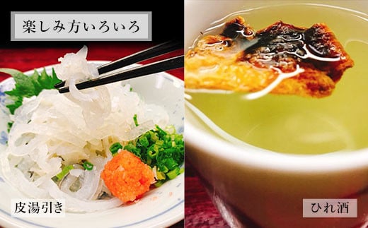 国産養殖！とらふぐ簡単調理で味わえるセット 吉宝ふぐ 1.3kg
