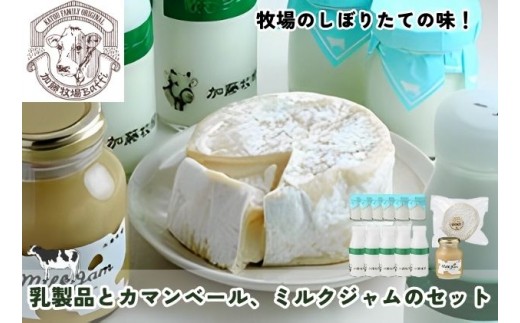 
            [№5712-0579]加藤牧場 乳製品とカマンベール、ミルクジャムのセット
          