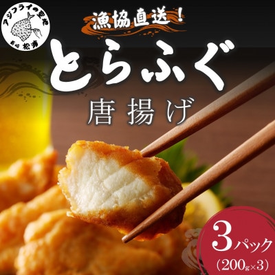 漁協直送　とらふぐ唐揚げ600g【配送不可地域：離島・沖縄】【1640907】