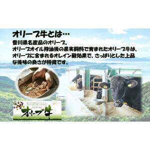 オリーブ牛100％肉汁ハンバーグ8枚(120g×8枚)セット