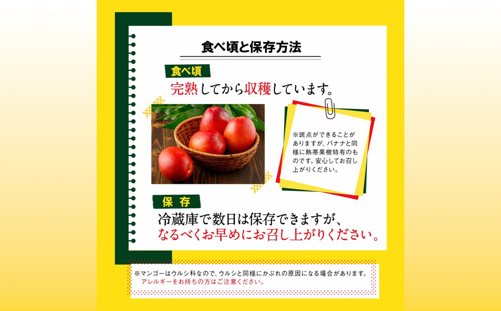  沖縄県 うるま市産 完熟 マンゴー 秀品 約1kg【2025年発送】