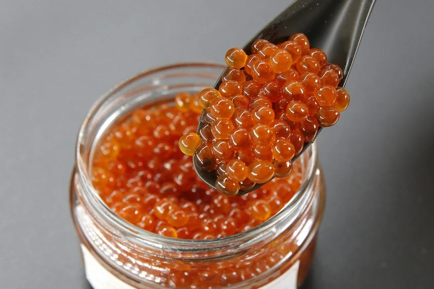 【定期便5回】海鮮地元漁師厳選 噴火湾産 海の幸 スペシャル 北海道 豊浦 うに いくら ホタテ 鮭 刺身 毛ガニ TYUR028