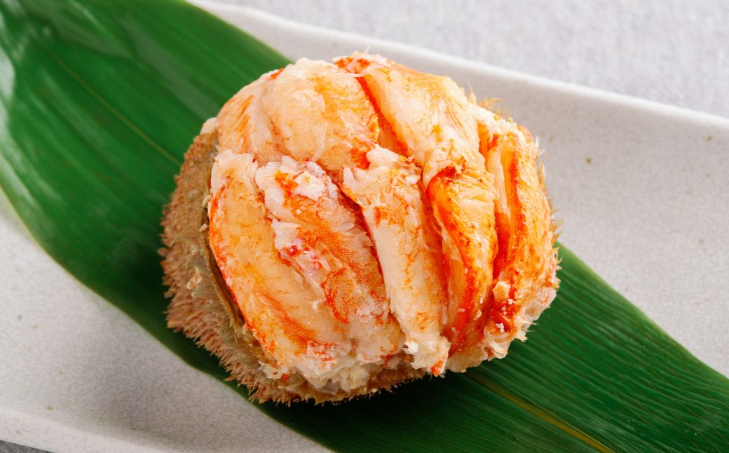 【先行予約】網走産 毛蟹 蟹雅 かにみやび 甲羅盛り  ×2個（2025年10月以降発送） ABBI006