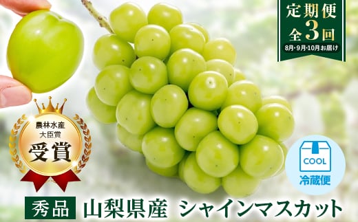 
            ＜発送月固定定期便＞＜農林水産大臣賞受賞!!＞山梨のシャインマスカット1房0.5kg以上全3回【4064096】
          