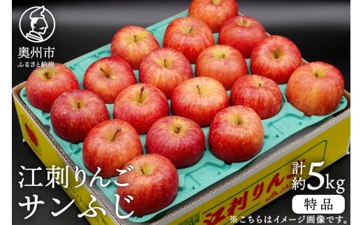 江刺りんご サンふじ 5kg (20～23玉) 特品 糖度14度以上 高級果物 ブランドフルーツ サンフジ 林檎 りんご フルーツ 果物 家庭用 自宅用 贈答 ギフト 数量限定 期間限定 [AQ011]
