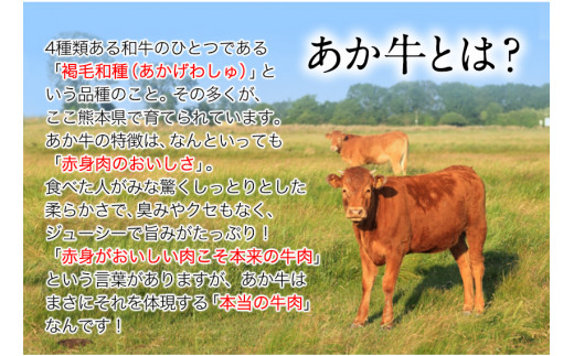 熊本県産 あか牛 焼き肉用 900g 《120日以内に出荷予定(土日祝除く)》 肉のみやべ 熊本県御船町_イメージ5