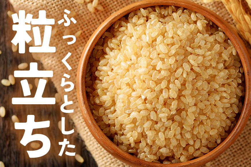 【3カ月定期便】 令和7年度 笠間産 コシヒカリ 5kg (5kg×3回 計15kg) 玄米 定期便 米 げんまい こめ コメ ご飯 ごはん 農家直送 産地直送 国産 茨城県 笠間市 青木商店 【6月