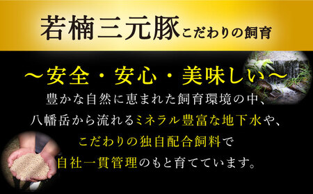 【3回定期便】佐賀牛と若楠三元豚のハンバーグ 食べ比べセット 計4個（2種×2個）/ナチュラルフーズ[UBH082]