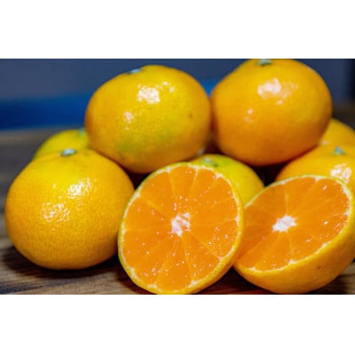 【2025年10月より順次発送】森本農園の小粒極早生みかん　訳あり　8kg【1624089】