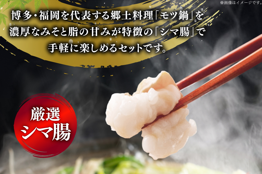 【5回定期便】 もつ鍋 訳あり 博多 味噌もつ鍋 10人前 2人前 × 5セット 5回 定期便 総計50人前 [MEAT PLUS 福岡 県 宇美町 um40azp010049] もつ 鍋 モツ鍋 スープ セット 冷凍 小分け 定期便 5ヶ月 5回 みそ 味噌