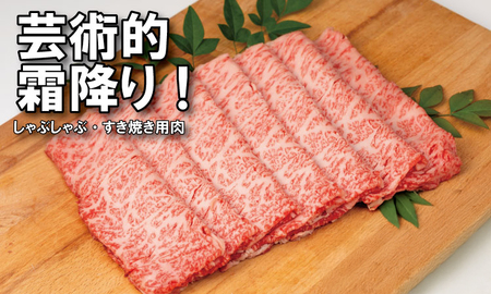 【定期便】佐賀牛 A5 焼肉・しゃぶしゃぶすき焼き 厳選部位 合計800g（400g x 各1P）6回定期 計4.8kg(800gx6)  Q126-003 桑原畜産 小分け ブランド牛 黒毛和牛 牛