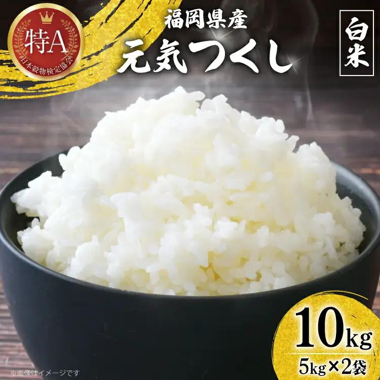白米 精米 令和7年 元気つくし 5kg 2袋