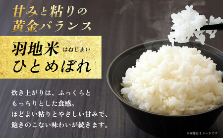令和6年産　羽地米(ひとめぼれ)　5kg 名護 米 こめ おこめ 国産 沖縄 食品 おにぎり おいしい 独特 お取り寄せ 真空袋 食べ物 美味しい 自然 ご当地 県産 南国 なご 旨味