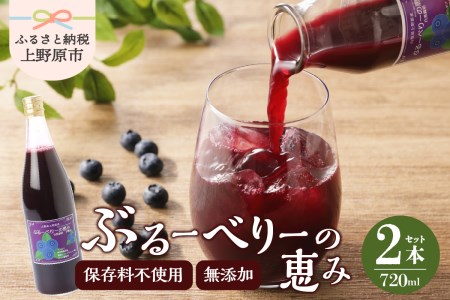 無添加ブルーベリージュース「ブルーベリーの恵み」720ml×2本 無添加 ブルーベリー ジュース セット お歳暮 プレゼント ギフト 贈り物 山梨県 上野原市