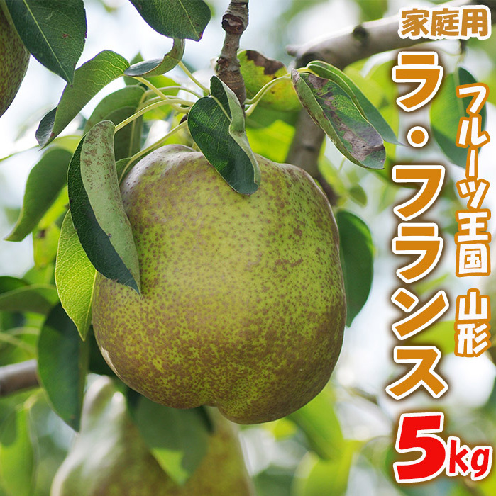 ☆フルーツ王国山形☆【家庭用】ラ・フランス 5kg FY25-888