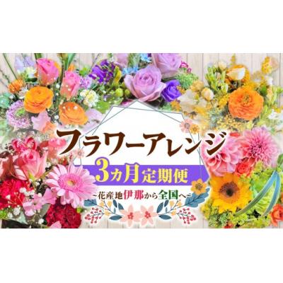 ふるさと納税 伊那市 【3ヶ月定期便】フラワーアレンジ(ギフトにも)花の名産地伊那から全国へ　旬の切り花を1鉢お届け