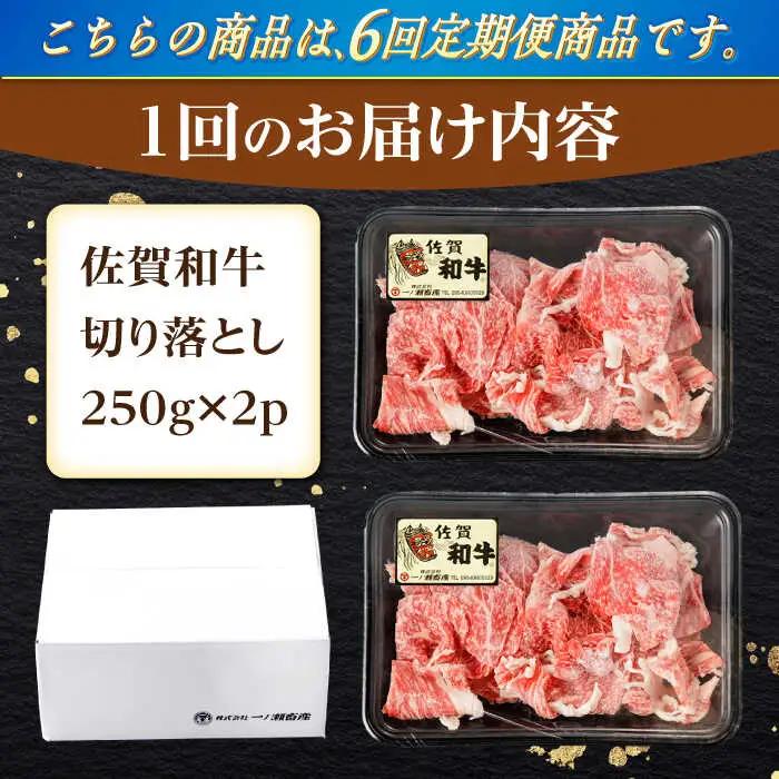 【定期便】牛肉切り落とし 計500g NAC163 牛肉切り落とし 全6回