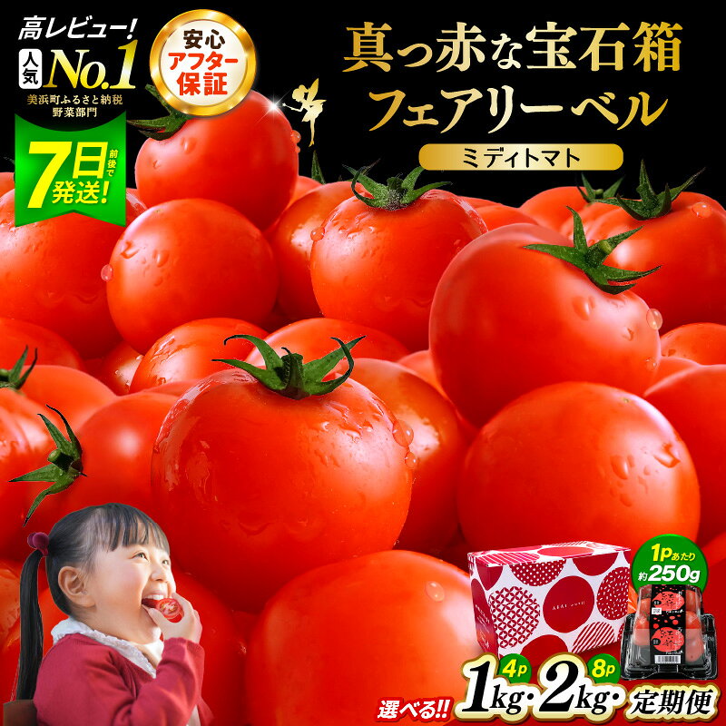 【ふるさと納税】野菜 じゅわっと極旨のフルーツミディトマト【選べる容量／回数】【 とまと トマト 新鮮野菜 やさい フルーツトマト ミニトマト トマトジュース サラダ 人気 新鮮 産地直送 甘い 高糖度 完熟 リコピン ビタミン ダイエット 美容 美肌 健康 食べやすい 】