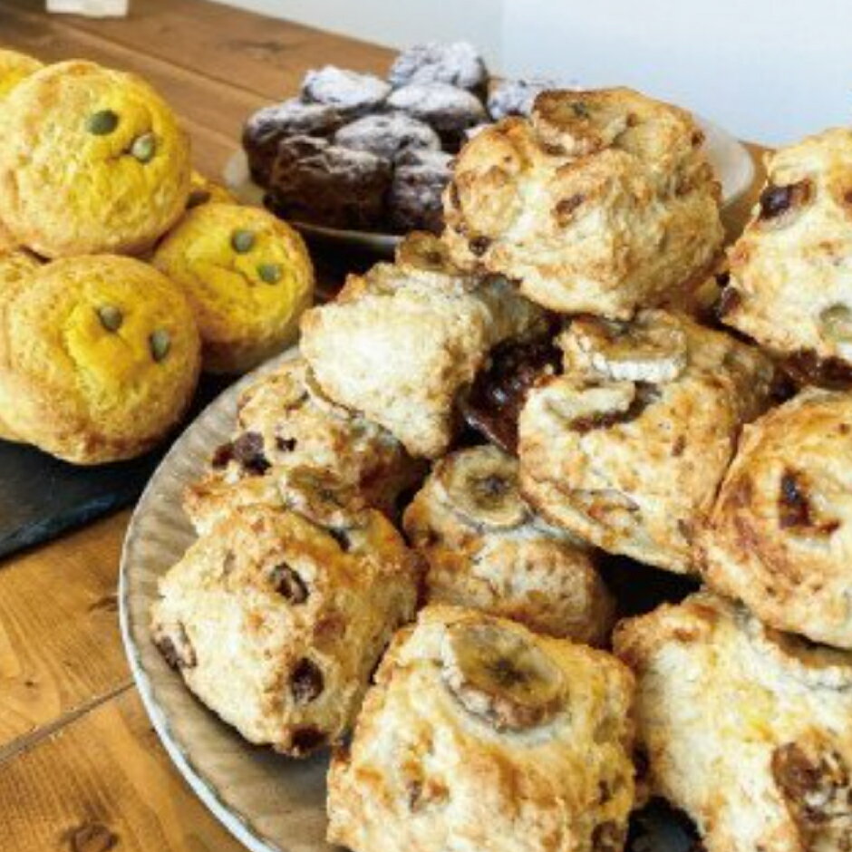 【ふるさと納税】スコーン 5個 セット 季節のスコーン nino scone ココナッツオイル 洋菓子 お菓子 ご家庭用 詰め合わせ