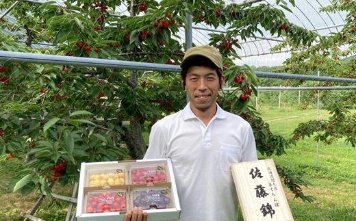 8-060-002　山口さんちのさくらんぼ 4種満喫セット 2.4kg