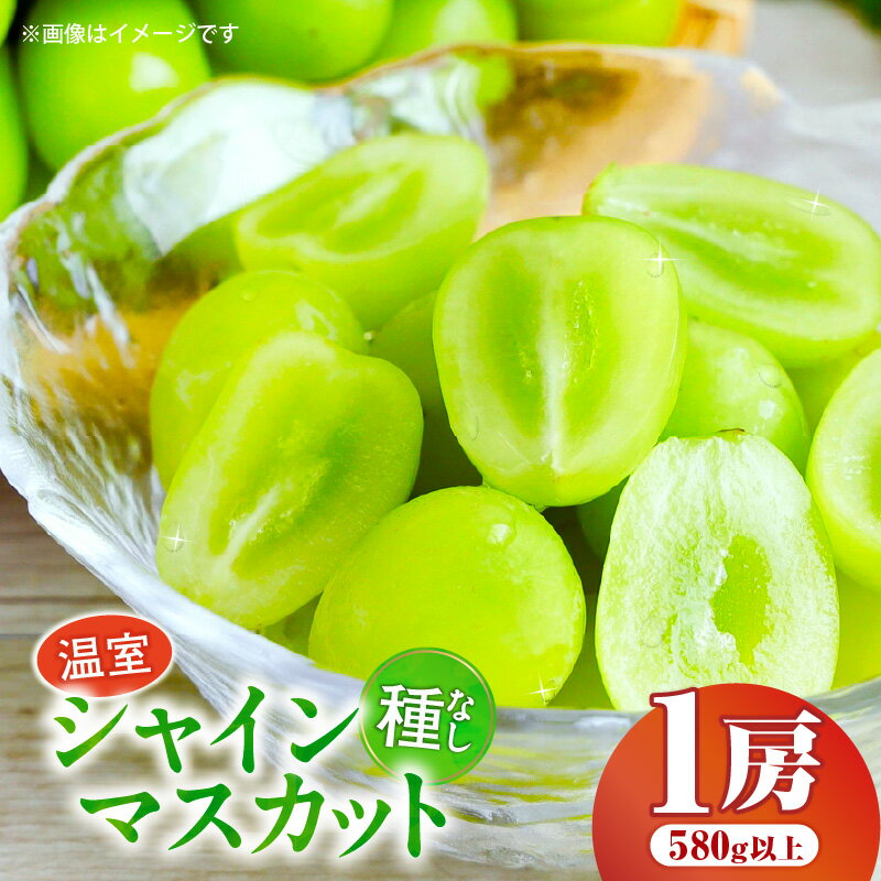 【ふるさと納税】温室シャインマスカット　1房化粧箱入り(580g以上) 果物 フルーツ デザート スイーツ マスカット 種無し 種無しマスカット 化粧箱入り 化粧箱 贈り物 ギフト 贈答 贈答用 特産 特産品 ぶどう 人気 お中元 グルメ おすすめ 香川県 三木町 送料無料