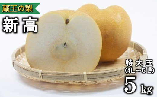 【先行予約】蔵王の新高梨約5kg 特大玉(4～5L程度）　【04301-0141】