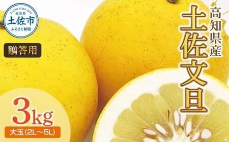 【先行予約】土佐文旦（大玉：2L~5L 混合）約3kg 〈2027年2月中旬～発送〉/ 土佐文旦発祥の地 産地直送 家庭用 贈答用 文旦 3キロ 約4～7玉 大玉 ぶんたん ブンタン 柑橘 果物【株式会社とさもん】 [BQAE042]