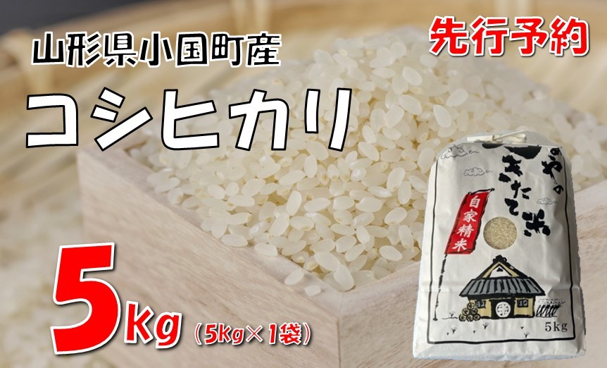 
            【令和７年新米  先行予約】コシヒカリ5kg　
          