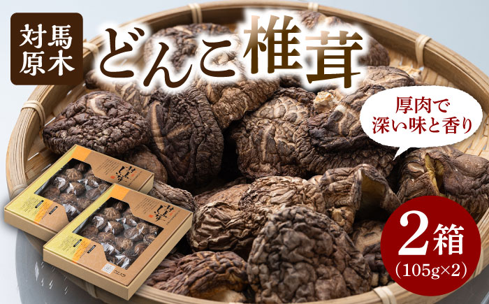 【最速発送】対馬 原木 どんこ椎茸 2箱《対馬市》【うえはら株式会社】 対馬産 肉厚 しいたけ 乾燥 きのこ 贈り物 [WAI014]