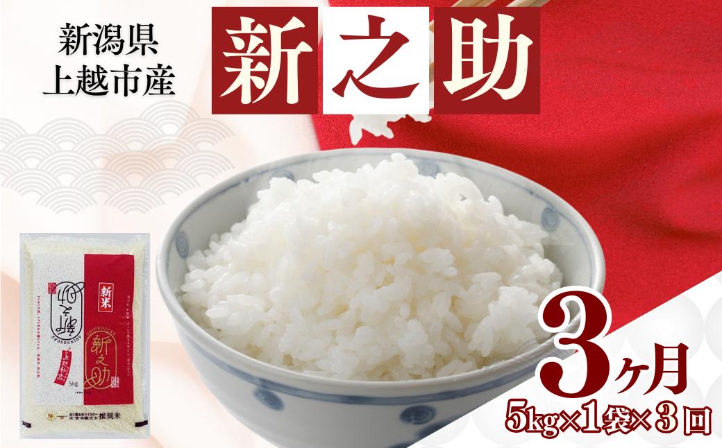 【5月下旬より配送】上越市産 新潟 新之助 5kg 3か月定期便 しんのすけ お米 精米 米 ご飯 定期