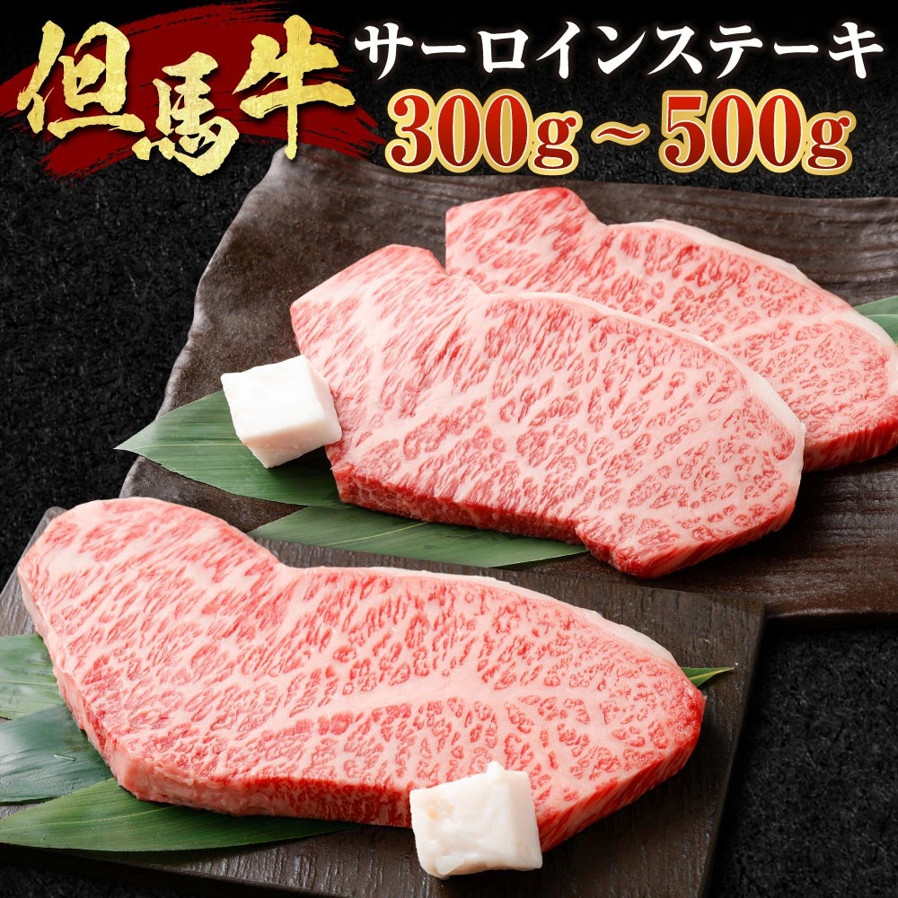 【ふるさと納税】但馬牛 サーロインステーキ 選べる 300g×1枚 or 250g×2枚 肉 お肉 牛肉 黒毛和種 和牛 サーロイン ステーキ 冷凍 国産 お取り寄せ ブランド牛 【配送不可地域：離島】【1098410】【1098414】送料無料 兵庫県 新温泉町