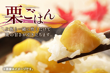 ＜期間限定＞国産 低温熟成栗（生栗）1.5kg 熟成宝珠栗 産地直送 宮崎県新富町産【B672】