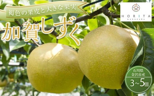 【2026年8月下旬以降発送】【先行予約】加賀しずく梨 3～5個 加賀しずく フルーツ 果物 くだもの 食品 石川 金沢 北陸 復興支援 復興応援