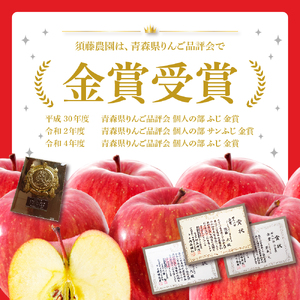 【2026年2月上旬発送】【訳あり】りんご 約5kg サンふじ & 金星セット 青森産