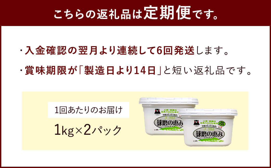 【定期便 年6回】球磨の恵み ヨーグルト 無糖 計12kg（2kg×6回）