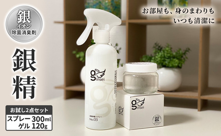銀精 除菌消臭剤 スプレー ゲル 2点セット 除菌消臭剤