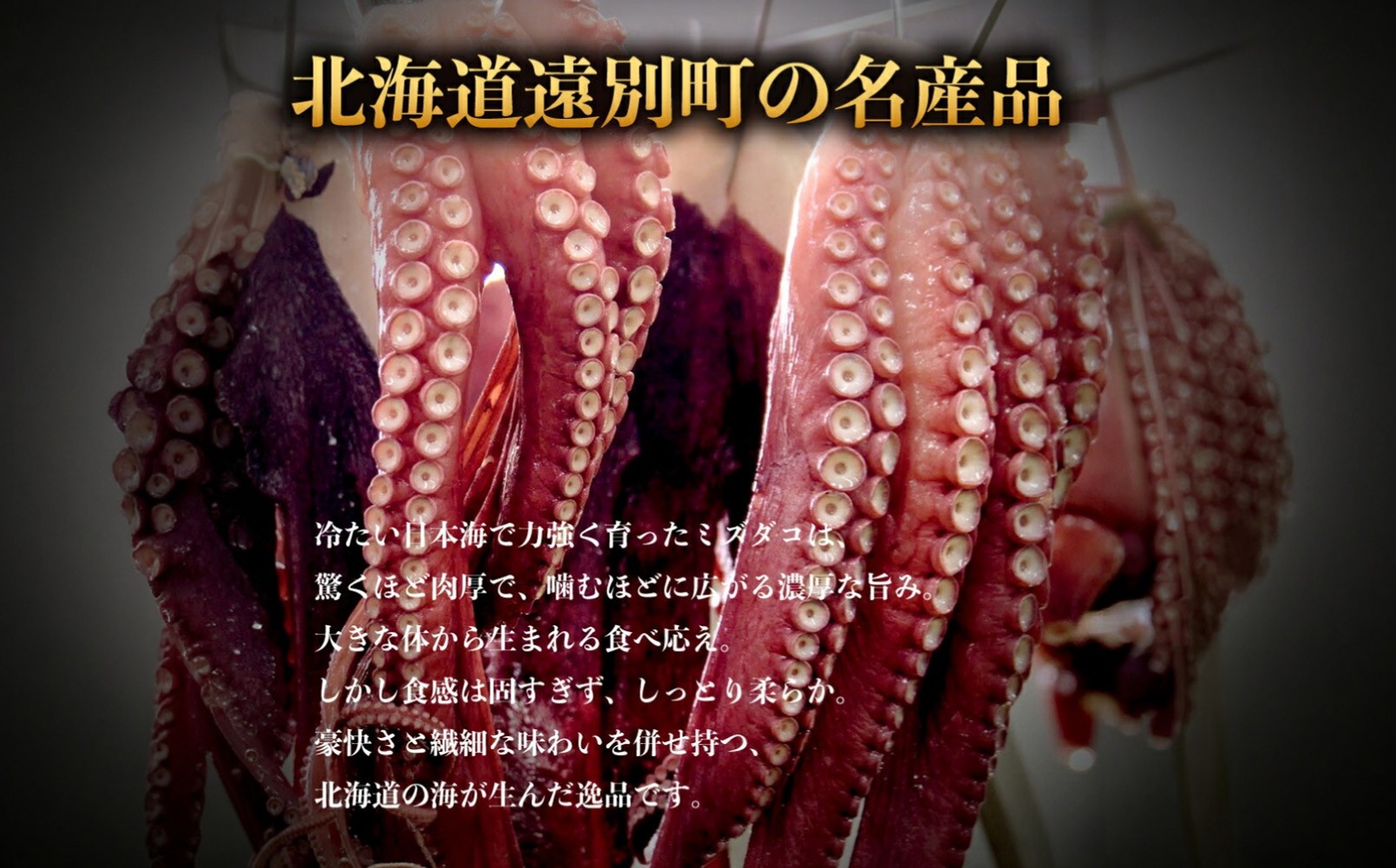 北海道遠別町 煮だこ足セット 訳あり 選べる1.0kg～1.7kg