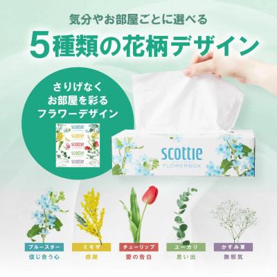 ふるさと納税 八代市 【2ヵ月毎定期便】ティシューフラワーボックス250組5箱パック×12 合計60箱【41365】全3回 |  | 03